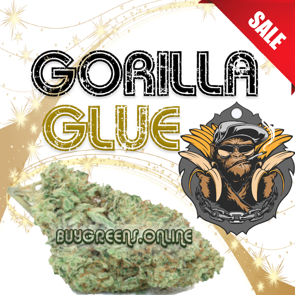 Gorilla Glue - BuyGreens.online