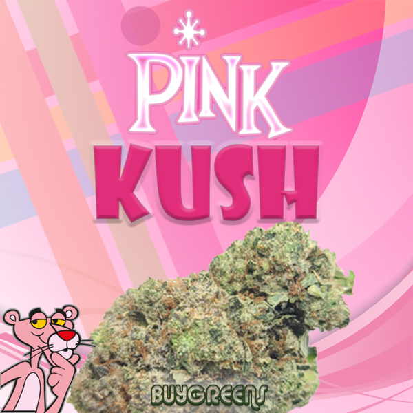 Pink Kush - BuyGreens.Online
