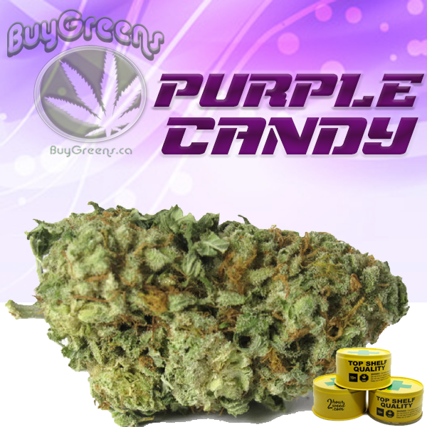 Purple Candy Tuna Can