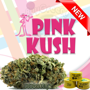 Pink Kush - BuyGreens.online