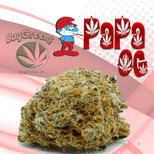 Papa OG-BuyGreens.ca