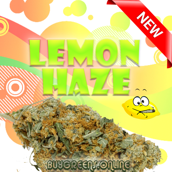 Lemon Haze - BuyGreens.Online