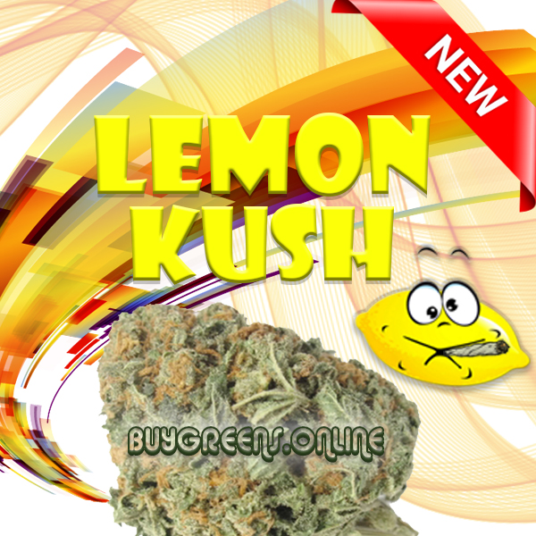Lemon Kush - BuyGreens.Online
