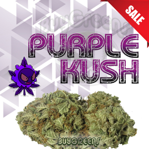 Purple Kush - BuyGreens.online