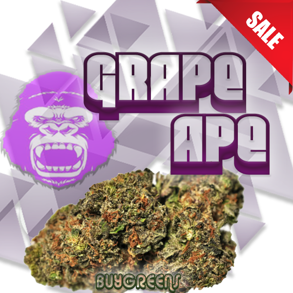 Grape Ape - BuyGreens.Online