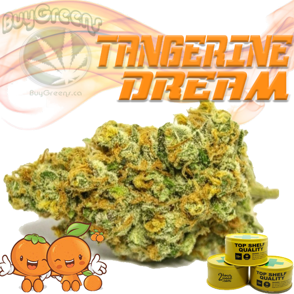 Tangerine Dream