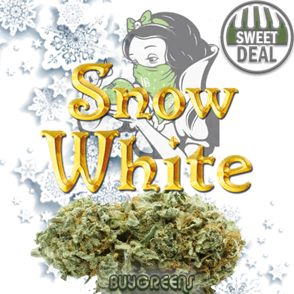 Snow White - BuyGreens.Online