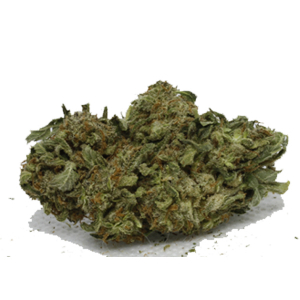 Bubble Gum - BuyGreens.online