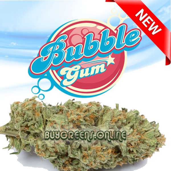 Bubble Gum - BuyGreens.Online