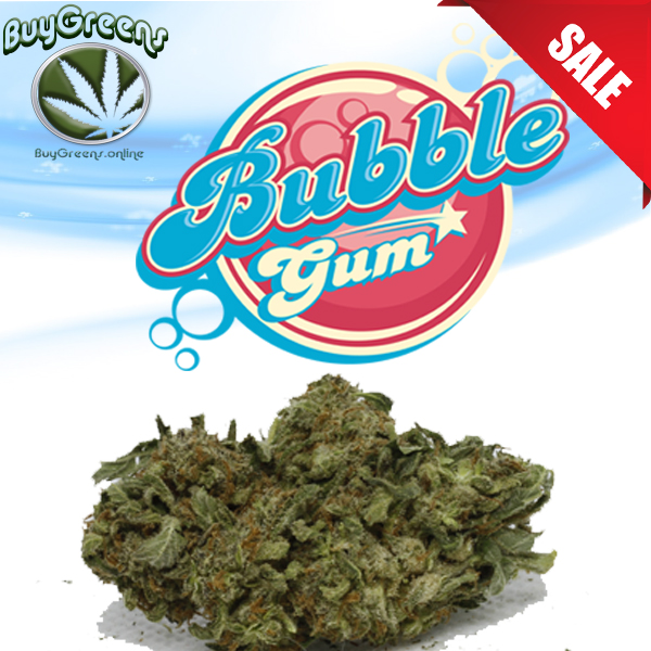 Bubble Gum (1oz) *Greenhouse Quality* – BUYGREENS