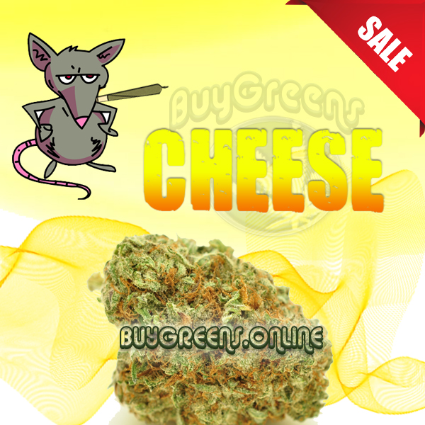 Cheese - BuyGreens.online