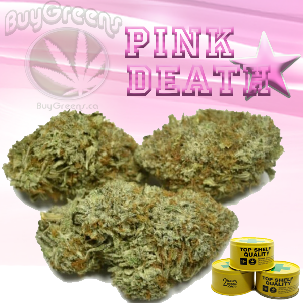 Pink Death Star by BuyGreens.ca