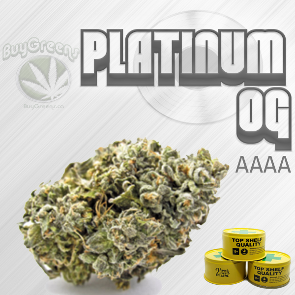 Platinum OG - BuyGreens