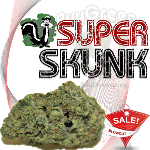 Super Skunk - BuyGreens