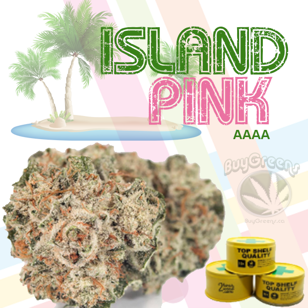 Island Pink - BuyGreens