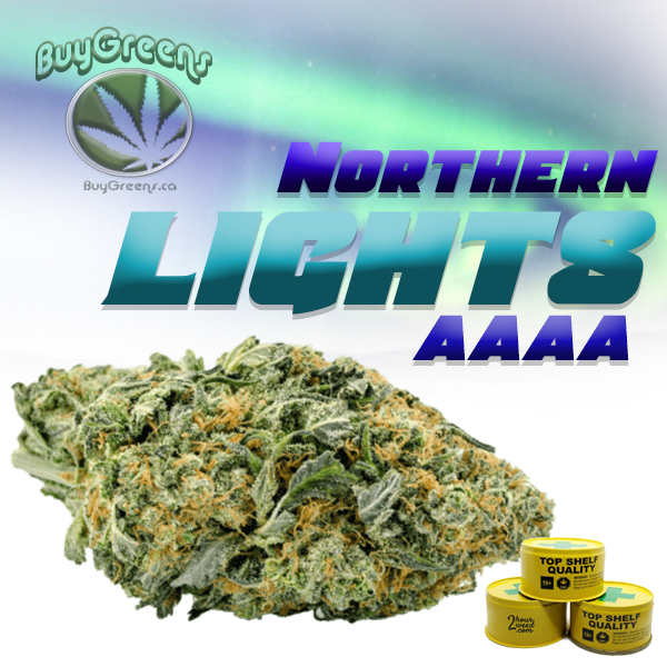 Northern Lights - BuyGreens.ca
