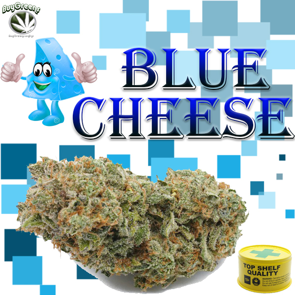 Blue Cheese - BuyGreens