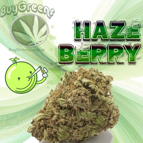 Haze Berry - BuyGreens