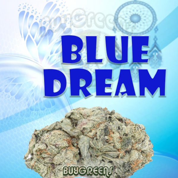 Blue Dream - BuyGreens.online