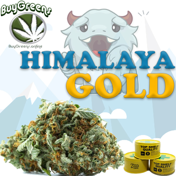 Himalaya Gold - BuyGreens.online