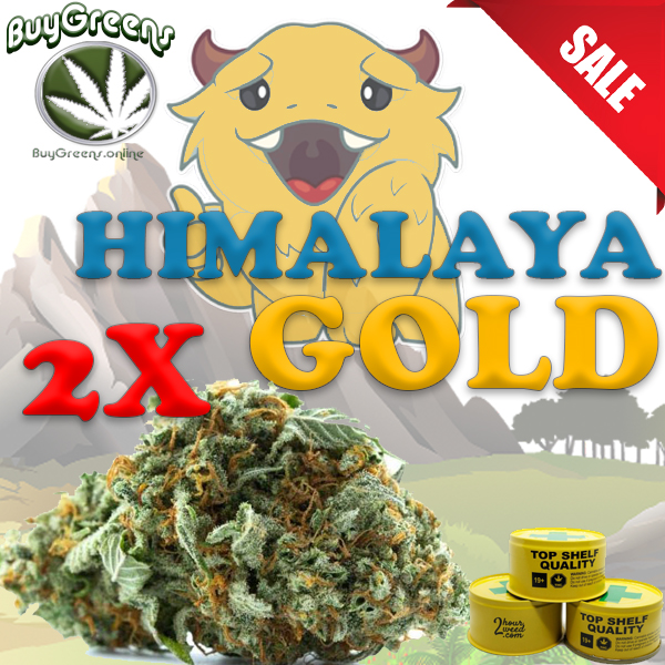 Himalaya Gold x2 - BuyGreens.online