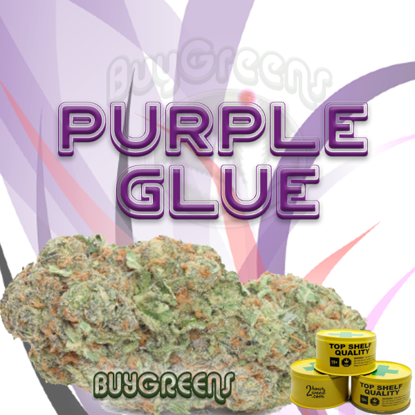 Purple Glue - BuyGreens.online