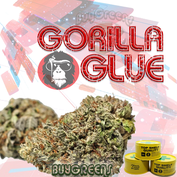 Gorilla Glue - BuyGreens.online