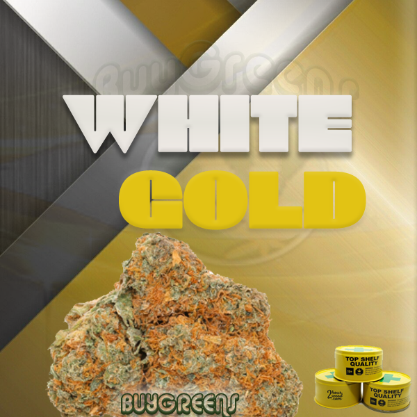 White Gold - BuyGreens.onilne