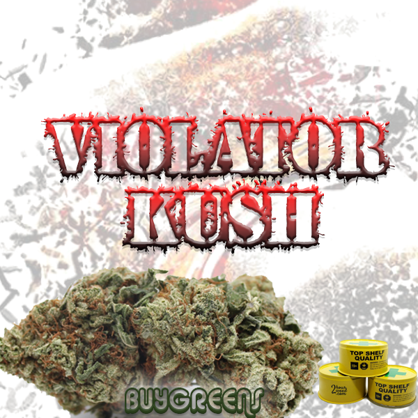 Violator Kush - BuyGreens.online