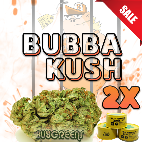 Bubba Kush - BuyGreens.Online
