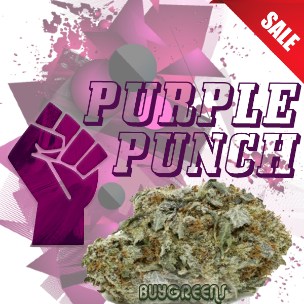 Purple Punch - BuyGreens.Online