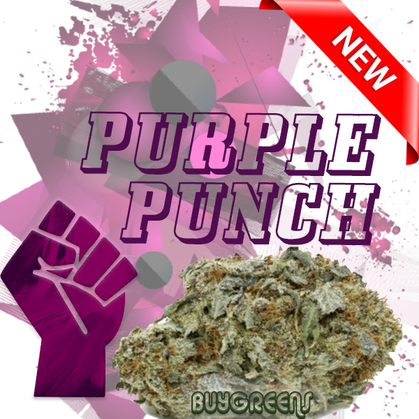 Purple Punch - BuyGreens.Online