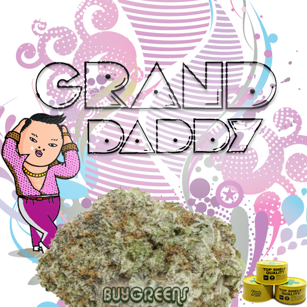 Grand Daddy Purple - BuyGreens.Online