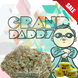 Grand Daddy - BuyGreens.Online
