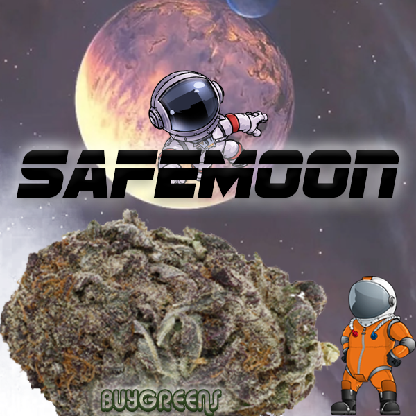 safemoon tshirts