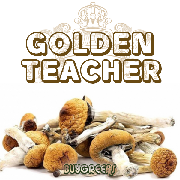 Golden Teacher - BuyGreens.Online