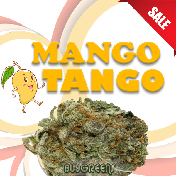 Mango Tango - BuyGreens.Online