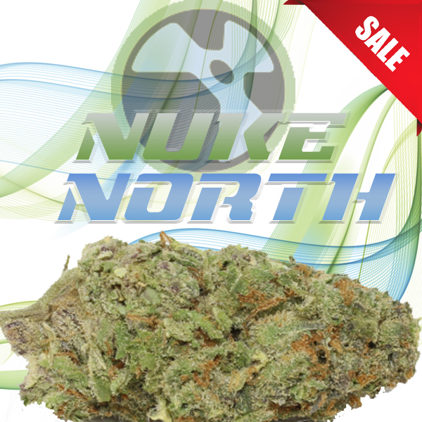 Nuke North - BuyGreens.Online