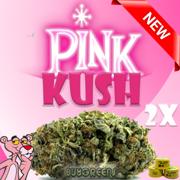 Pink Kush - BuyGreens.onlinev