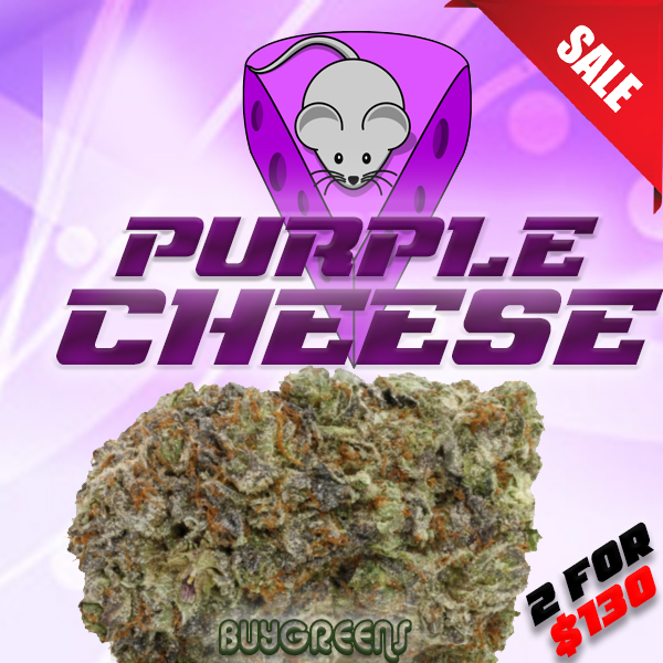 Purple Cheese - BuyGreens.Online