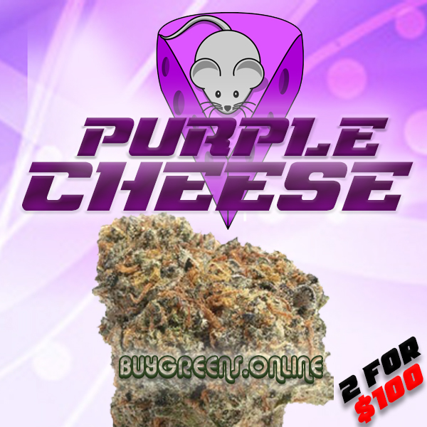 Purple Cheese - BuyGreens.Online