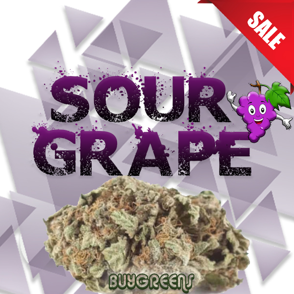 Sour Grape - Buygreens.Online