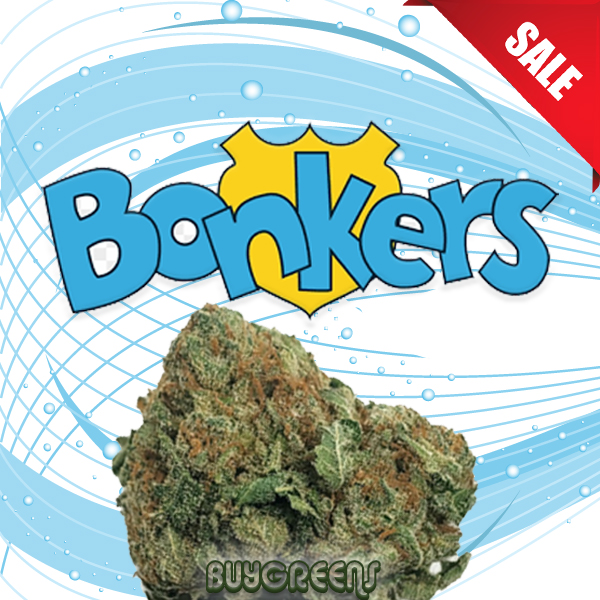 Bonkers - BuyGreens.Online