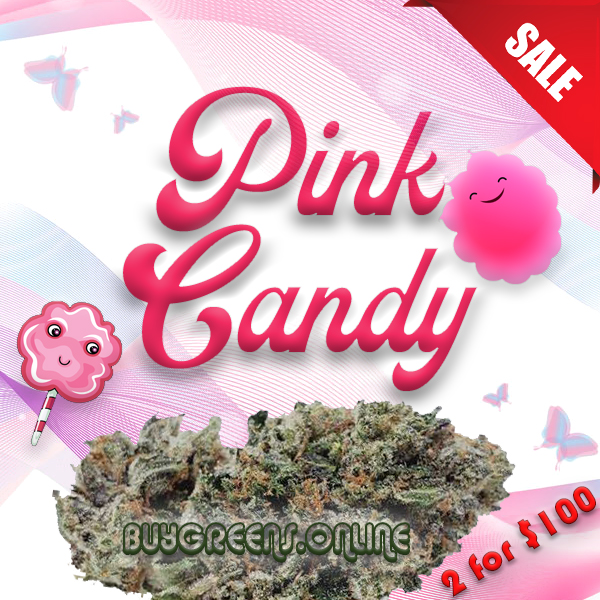 Pink Candy - BuyGreens.Online