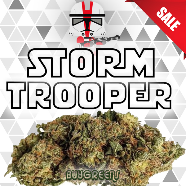 Storm Trooper - BuyGreens.Online