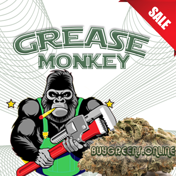 Grease Monkey - BuyGreens.Online