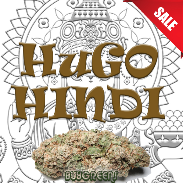 Hugo Hindi - BuyGreens.Online