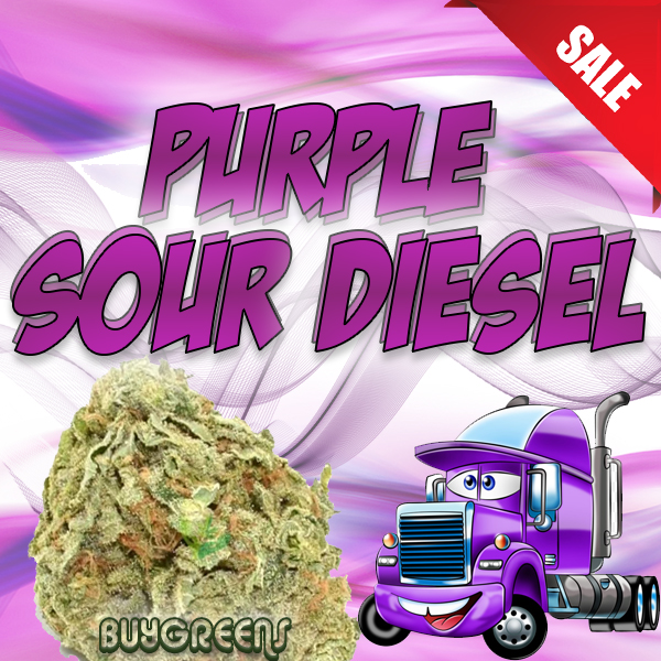 Purple Sour Diesel - BuyGreens.Online