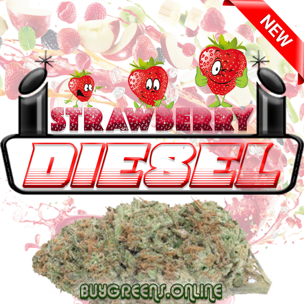 Strawberry Diesel - BuyGreens.Online