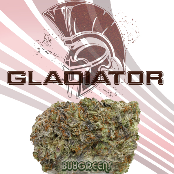 Gladiator - BuyGreens.Online